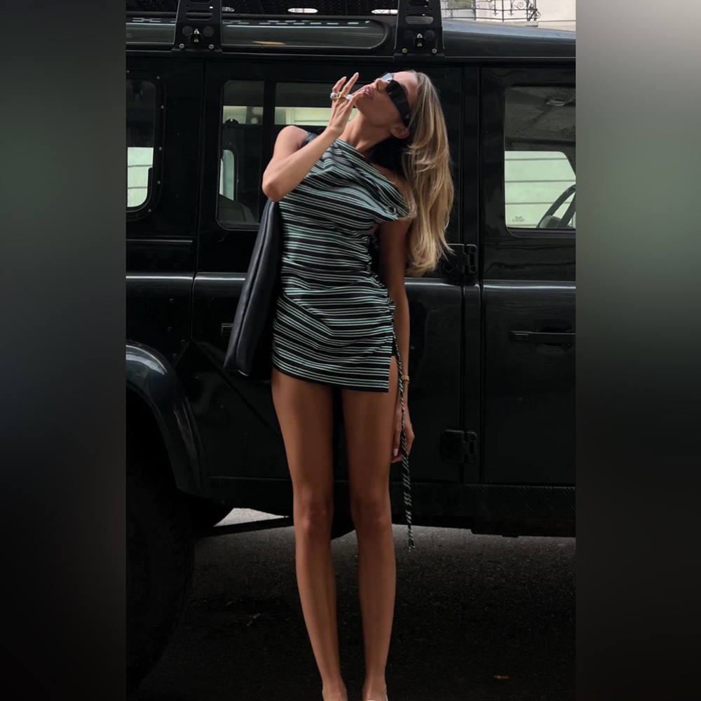 NWT lioness mini dress